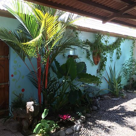 Sueno Grande B&B Puerto Viejo de Talamanca Exteriér fotografie