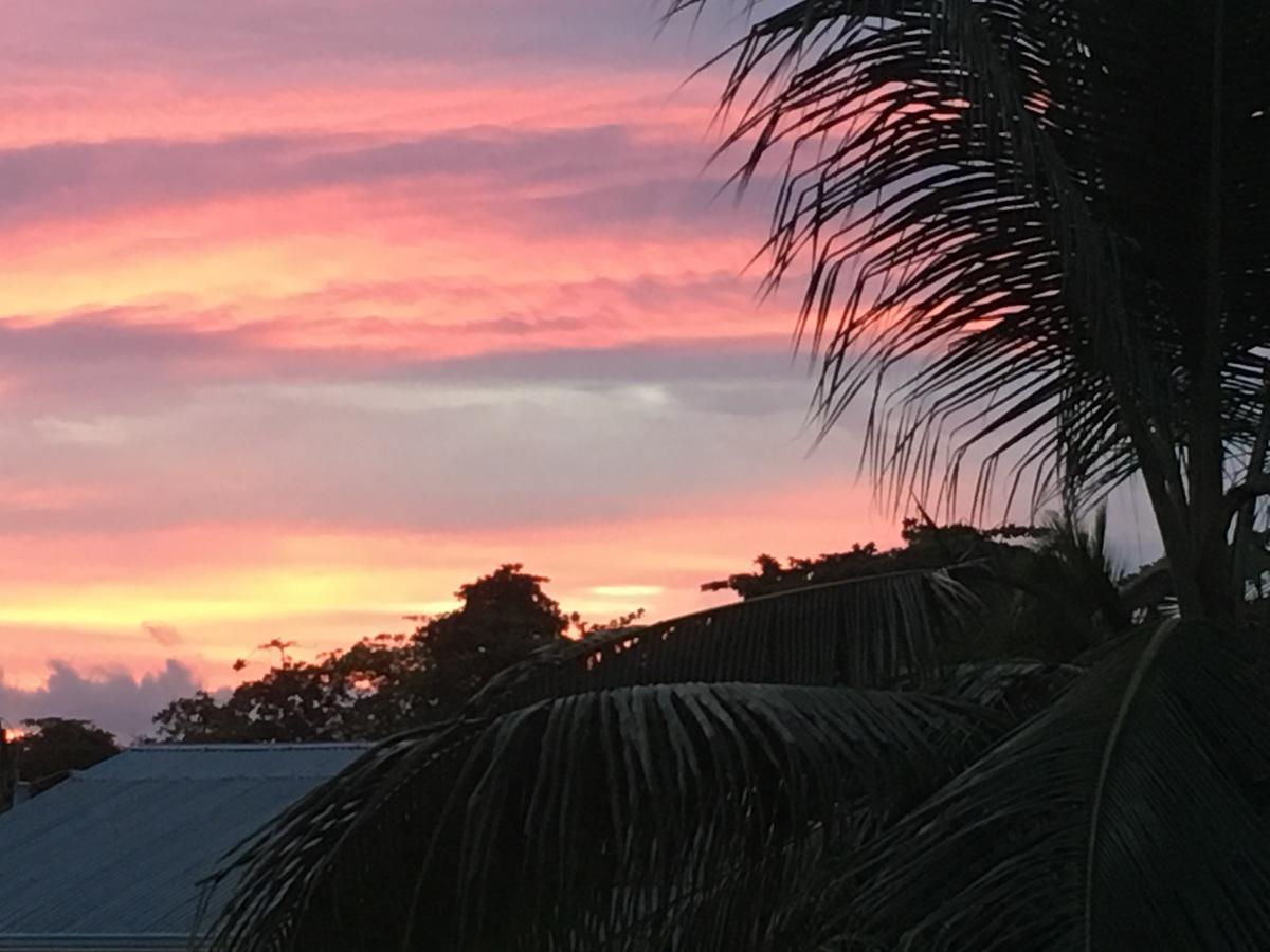 Sueno Grande B&B Puerto Viejo de Talamanca Exteriér fotografie